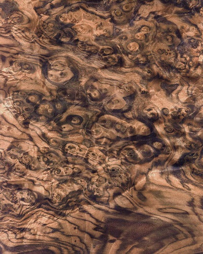 Veneer mặt gỗ óc chó - Gỗ Lạng Buôn Ma Thuột - Công Ty CP Gỗ Lạng Buôn Ma Thuột